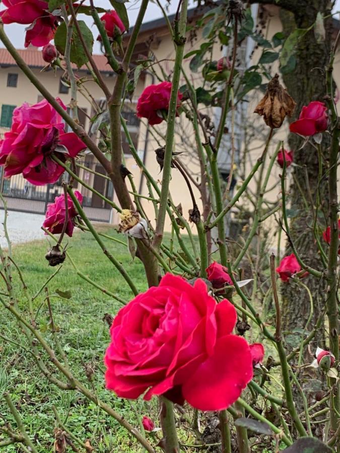 Villa Agriturismo Cascina Mariale Albiano dʼIvrea Exterior foto